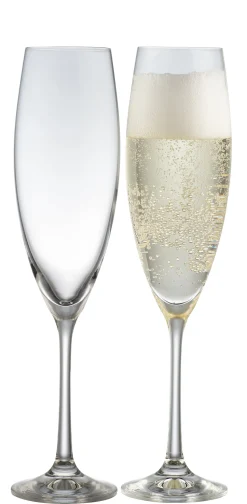 Elegance Champagne/ Prosecco Glass Pair