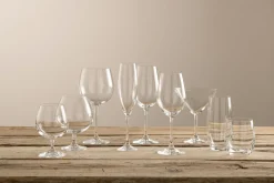 Elegance Martini/Cocktail Glass Pair