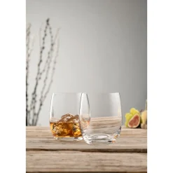 Elegance Tumbler Glass Pair
