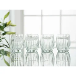 Engraved Erne Tumbler Glass Set of 4