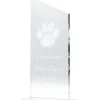 Engraved Large Diagonal Trophy