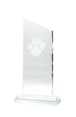 Engraved Large Diagonal Trophy