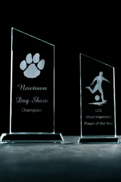 Engraved Large Diagonal Trophy