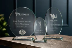 Engraved Small Oval Trophy